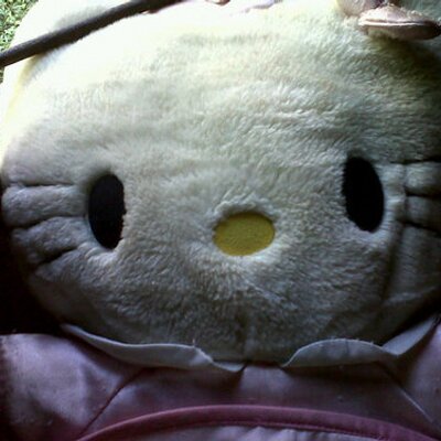 Profile Picture of Hanna Maya Sari (@SariHannamaya) on Twitter