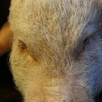 Profile Picture of Shelly Lloyd (@shellylloyd36) on Instagram