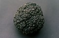 Profile Picture of Manganese noduleon Wikipedia