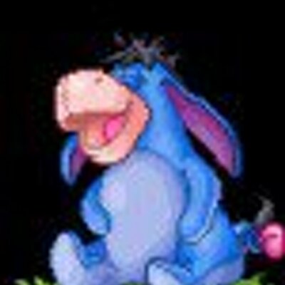Profile Picture of Heidi R Springer (@springer_r) on Twitter