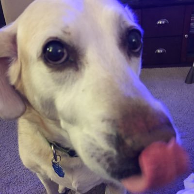 Profile Picture of Jeremiah Adams (@mrjeremiahadams) on Twitter