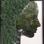 Profile Picture of 🌳Re.Forest🌎 (@re.forest.original.news) on Instagram