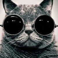 Profile Picture of David Julien (@david-julien-11) on Quora