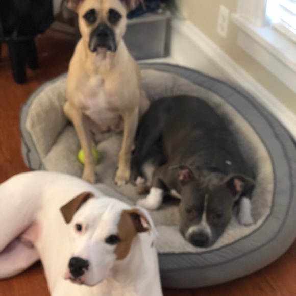 Profile Picture of Holly Weissenhofer (@fiveweiss) on Poshmark