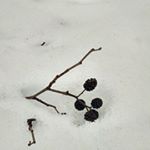 Profile Picture of Леонид Поляков (@leonidpoliakov51332751) on Instagram