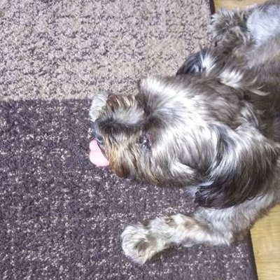 Profile Picture of Glenn Oldfield (@Olli3pants) on Twitter