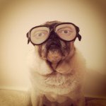 Profile Picture of noel hendrickson (@thevoyageurs) on Instagram