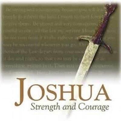 Profile Picture of Joshua Bevins (@joshuabevinsla) on Twitter