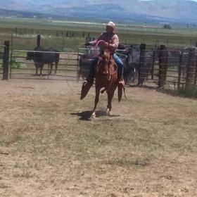 Profile Picture of Michael Thresher (@buckaroo_365) on Pinterest