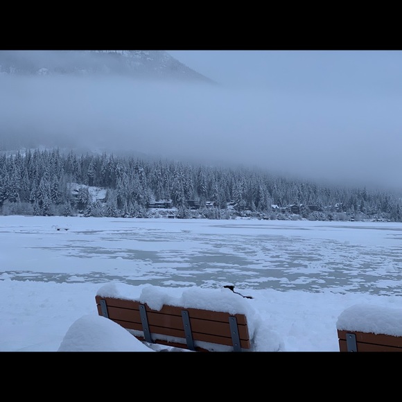 Profile Picture of Cindy Lee-jung (@cleejung) on Poshmark