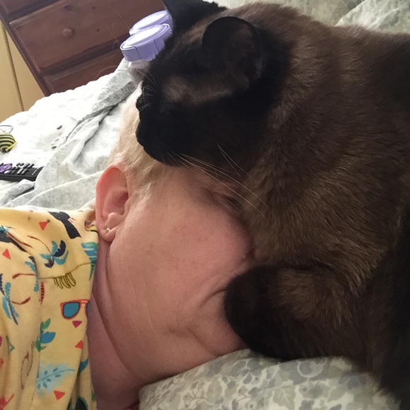 Profile Picture of Nancy Hendrich (@nancybear1) on Poshmark