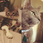 Profile Picture of Dusty & Asher Flynn (@dustyandasher) on Instagram