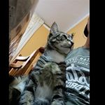 Profile Picture of Steven Flores (@steven_flores_pm) on Instagram