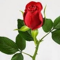 Profile Picture of Bianca Bernstein (@bianca-bernstein) on Quora