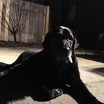 Profile Picture of Robin Baird (@baird.robin) on Instagram