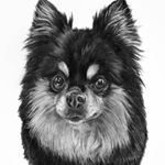 Profile Picture of Taylor Vincent (@petportraitsbytaylor) on Instagram