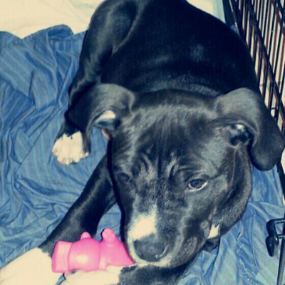 Profile Picture of Darian Campbell (@DarianC_1230) on Twitter