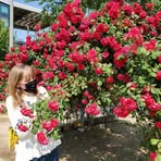 Profile Picture of Clare Orris (@clare.orris) on Facebook