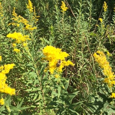 Profile Picture of Jacob Ratner (@ratnerjacob7) on Twitter