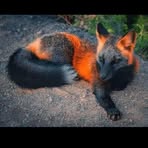 Profile Picture of Chett Black (@Chett-Black) on Facebook