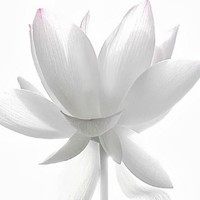 Profile Picture of Donny Day (@donny-day) on Quora