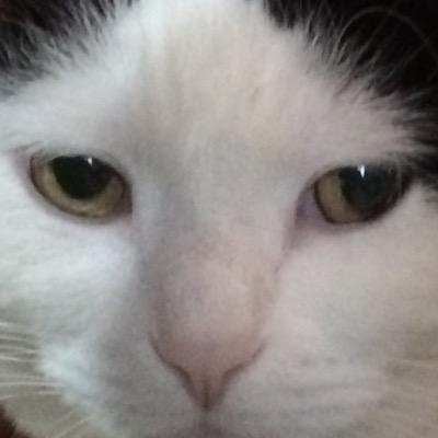 Profile Picture of Jackie (@Dixiefish07) on Twitter