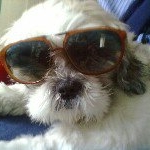 Profile Picture of Mario Schiavo (@marioschia) on Instagram