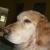 Profile Picture of Kevin Downing (@206952227) on Myspace