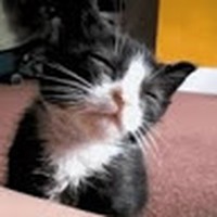 Profile Picture of Sheila Devlin (@sheila-devlin-7) on Quora
