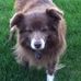 Profile Picture of Marilyn Zyckowski Feldman (@marilyn.feldman.902) on Facebook