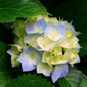 Rebecca Skeen - Youtube Profile Picture of Rebecca Skeen (@rebeccaskeen6736) on Youtube