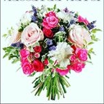 Profile Picture of Edit Bessenyei (@bessenyeiedit) on Instagram