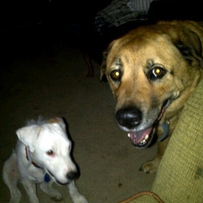 Profile Picture of Anthony Boatwright (@BIGA05301977) on Twitter