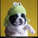 Profile Picture of Alex Alper (@magma96) on Pinterest