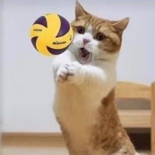 Profile Picture of Lillian Schiffman (@lillianschiffman) on Tiktok