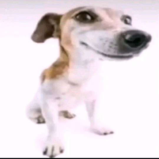 Profile Picture of calvinstenson (@calvinstenson171) on Tiktok