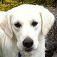 Profile Picture of Buddy Carroll (@buddy-carroll-2) on Quora