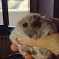 Profile Picture of Sam Halsey (@sam-halsey-12) on Quora