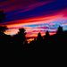 Profile Picture of Zoe Oakleaf (@oakleaf1459) on Pinterest