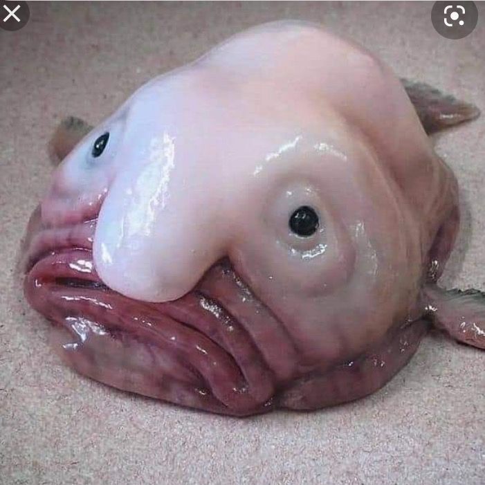 Profile Picture of Carlyheller (@carlyheller123) on Tiktok