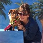 Profile Picture of Cathy Brady Donahue (@doxielover4ever) on Instagram