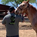 Profile Picture of Peter Reed (@seaside_voltz) on Instagram