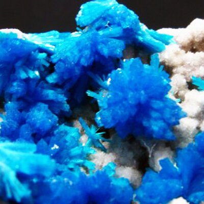 Profile Picture of Mike Petrov (@therussianstone) on Twitter