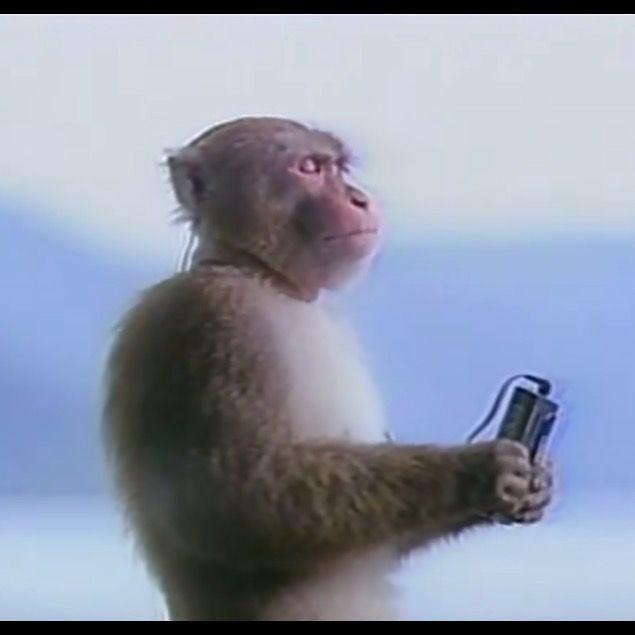 Profile Picture of sebastian (@sebastian__bal) on Tiktok