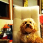 Profile Picture of Daniel Heider (@danielheider) on Instagram