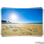 Profile Picture of Paul Ridenour (@freshgrabsdarth) on Instagram