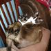 Profile Picture of Robin Painter (@robin.painter.58) on Facebook