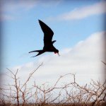 Profile Picture of Julio Iribarren (@unlitro) on Instagram