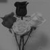 Profile Picture of Amber Goucher (@Amber-Goucher) on Facebook