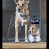 Profile Picture of Marjorie Goodyear (@@user3176103393776) on Tiktok